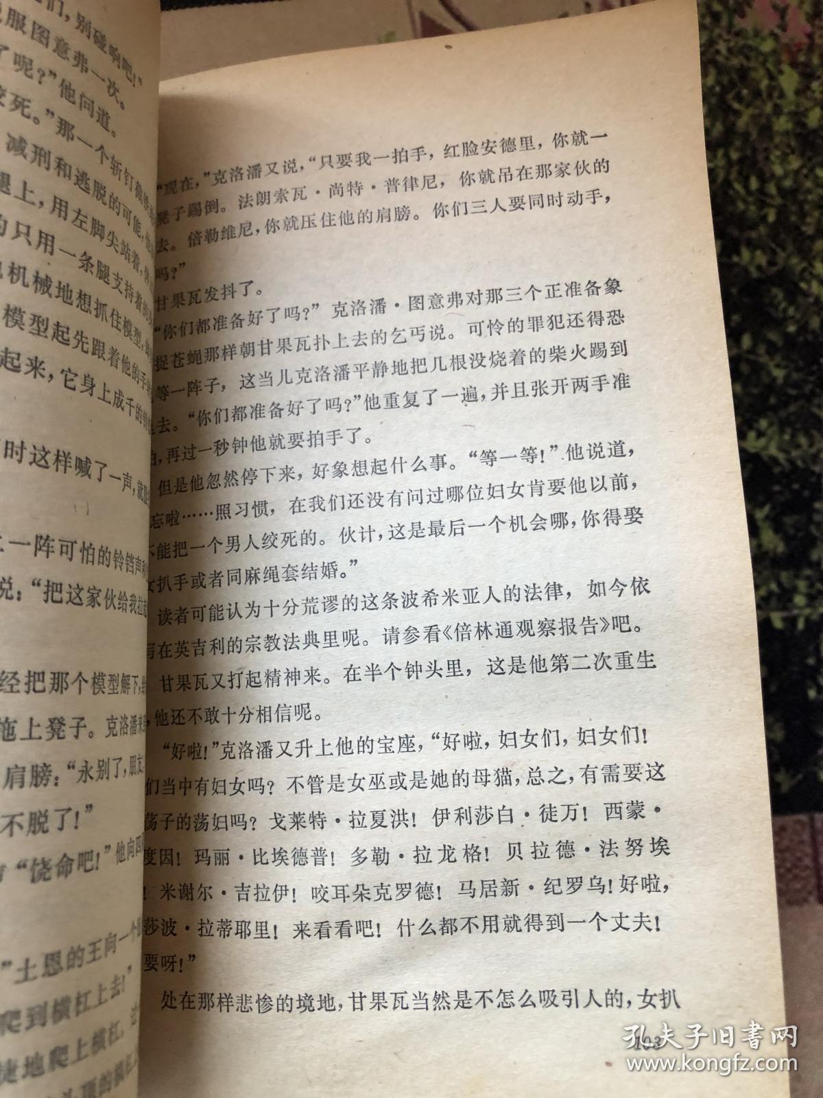 巴黎圣母院简谱_巴黎圣母院美人简谱(2)