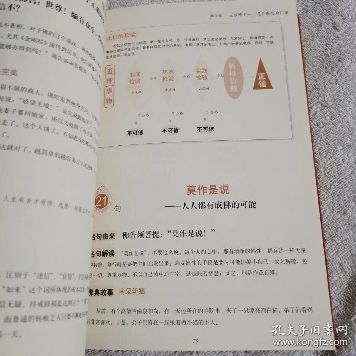 0231d929328ab19c64_b.jpg