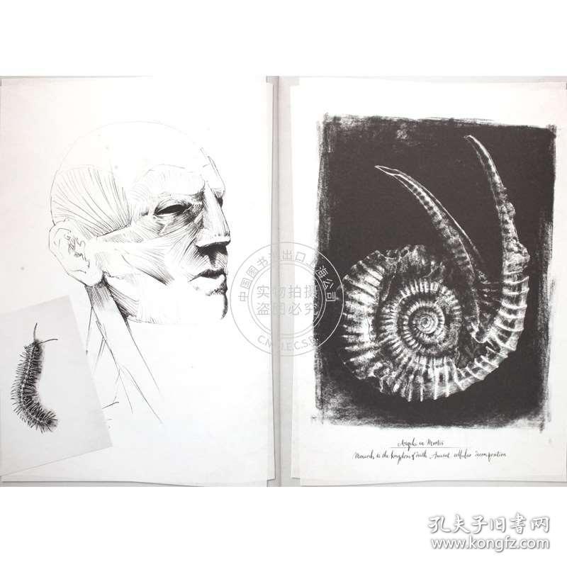 现货 异形契约:大卫手稿 英文原版 alien covenant: david"s drawings