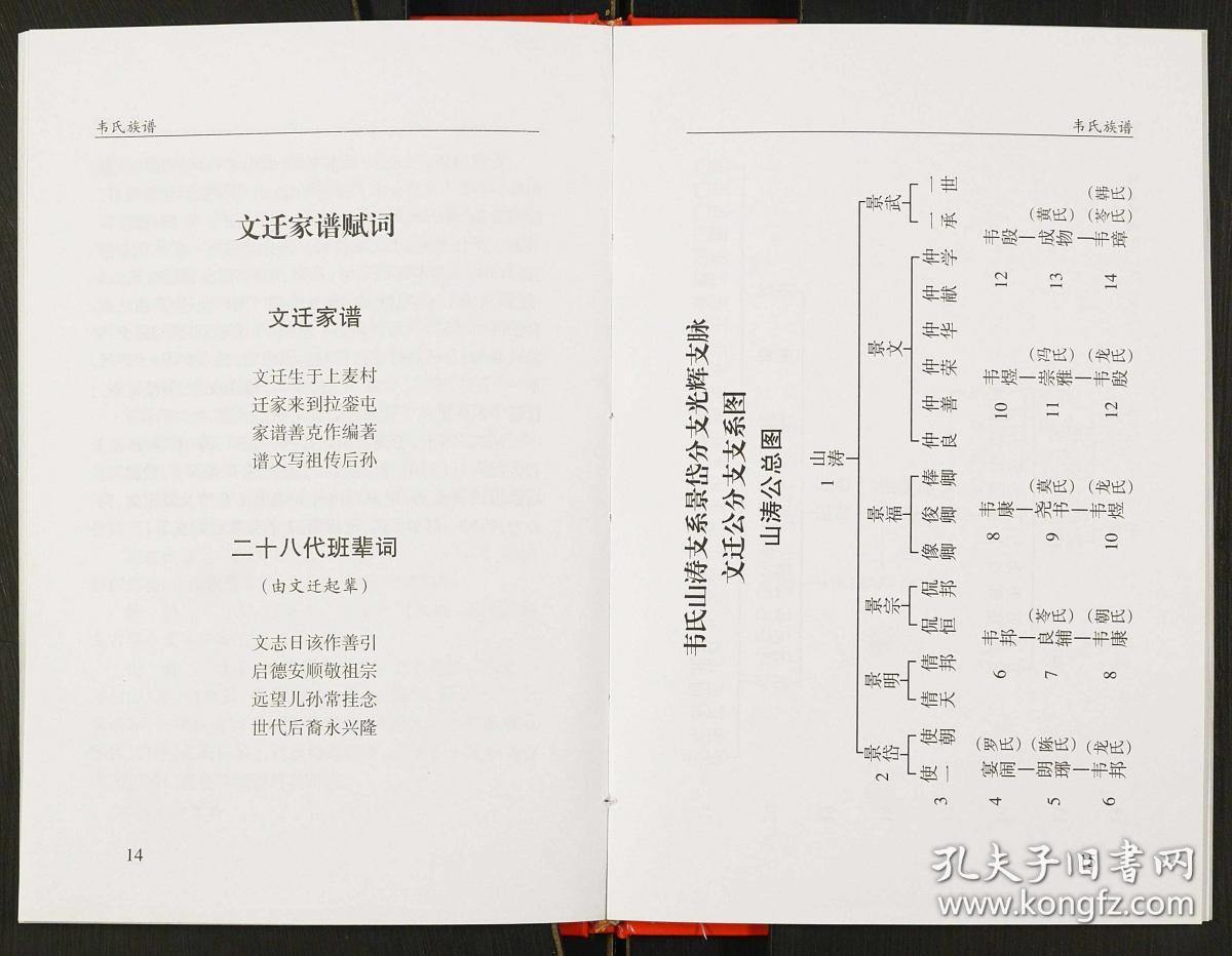 广西玉林八音唢呐曲谱_广西玉林女护士(4)