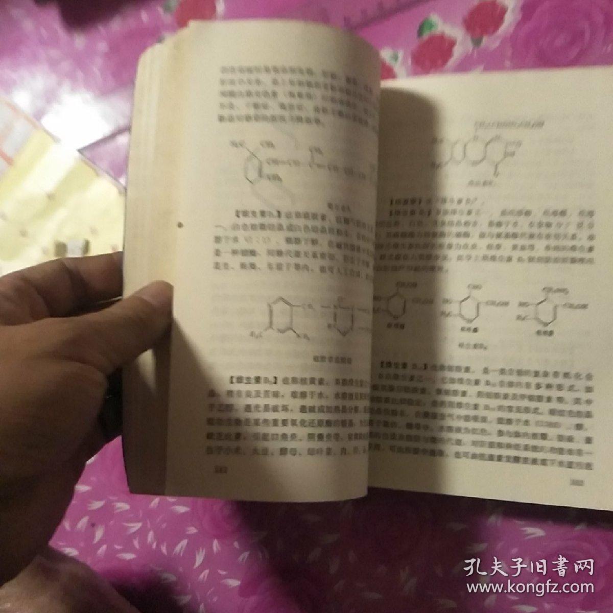 高中生物老师招聘_孔网分类(4)