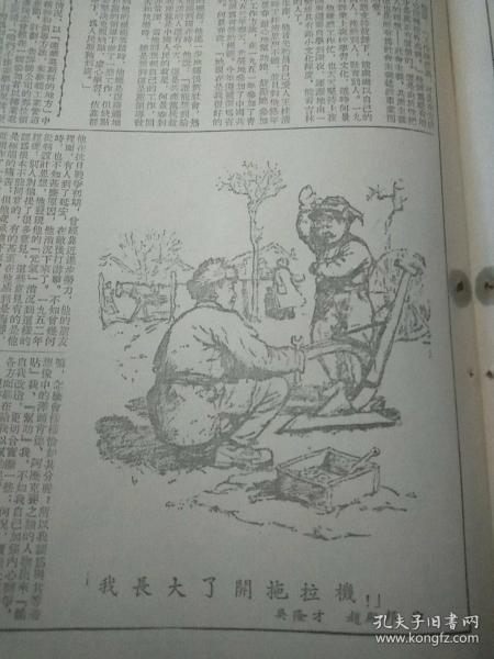 第七次东北人口普查_第七次人口普查图片(2)
