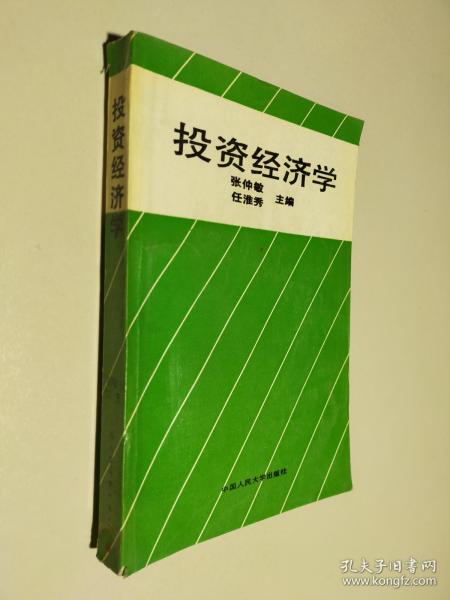 投资经济学投资总量_投资经济学k线(2)