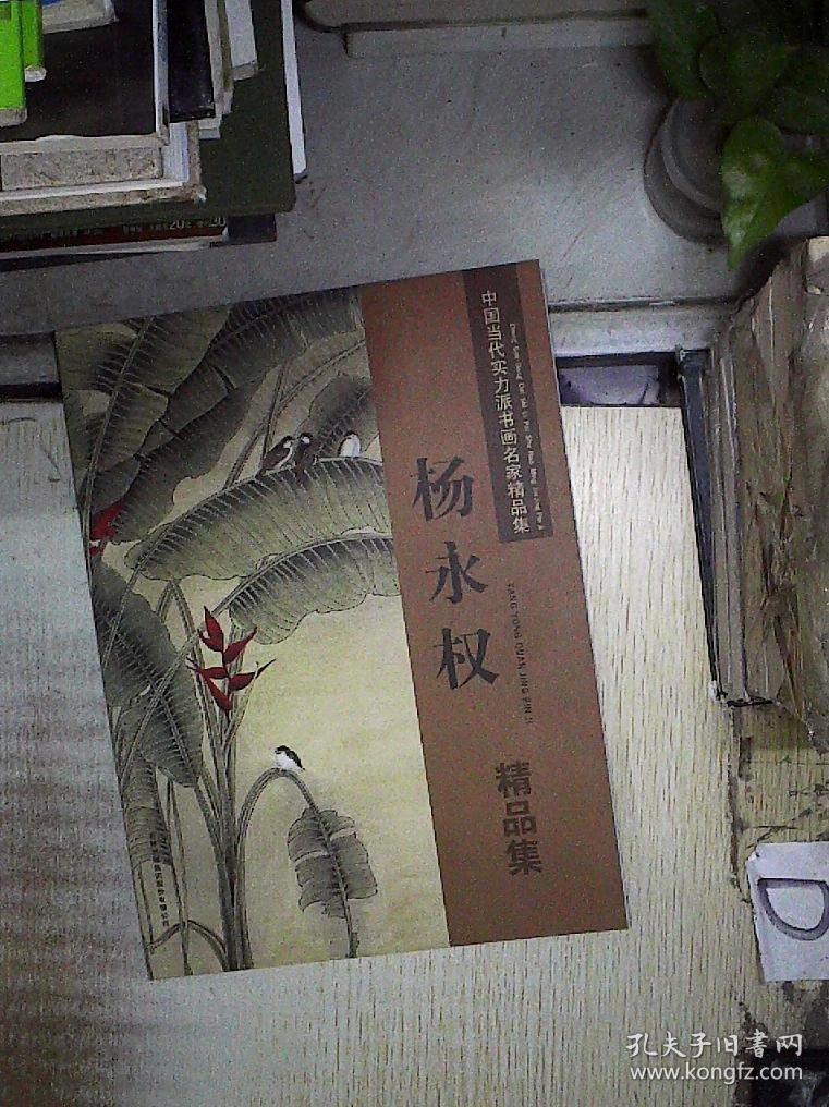 杨永权精品集