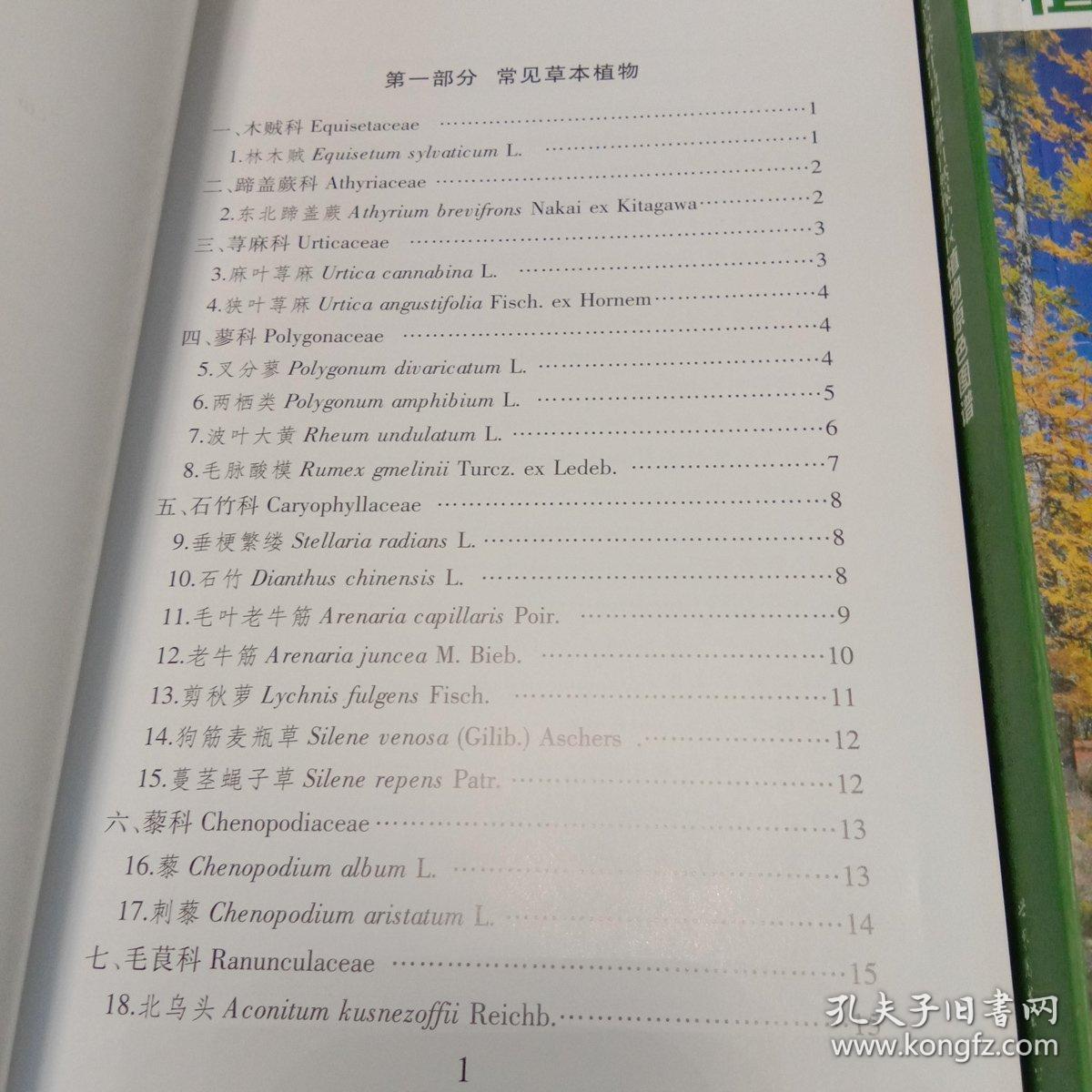 守护家曲谱_守护甜心图片(2)