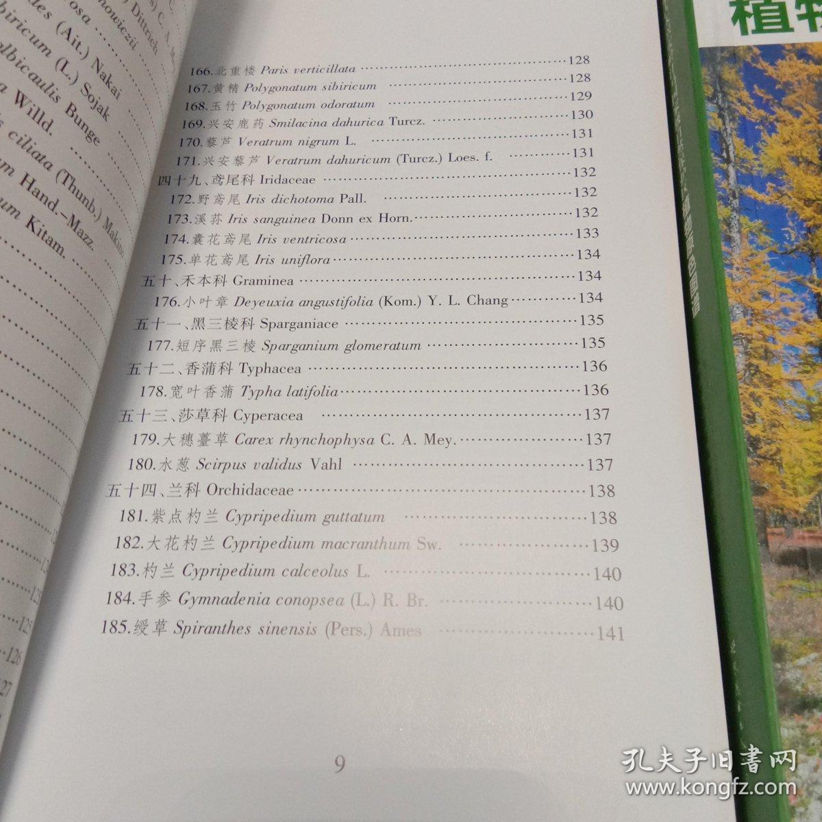 守护家曲谱_守护甜心图片(2)