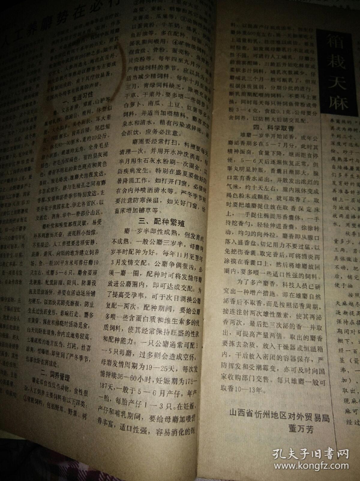 百事通简谱_儿歌简谱