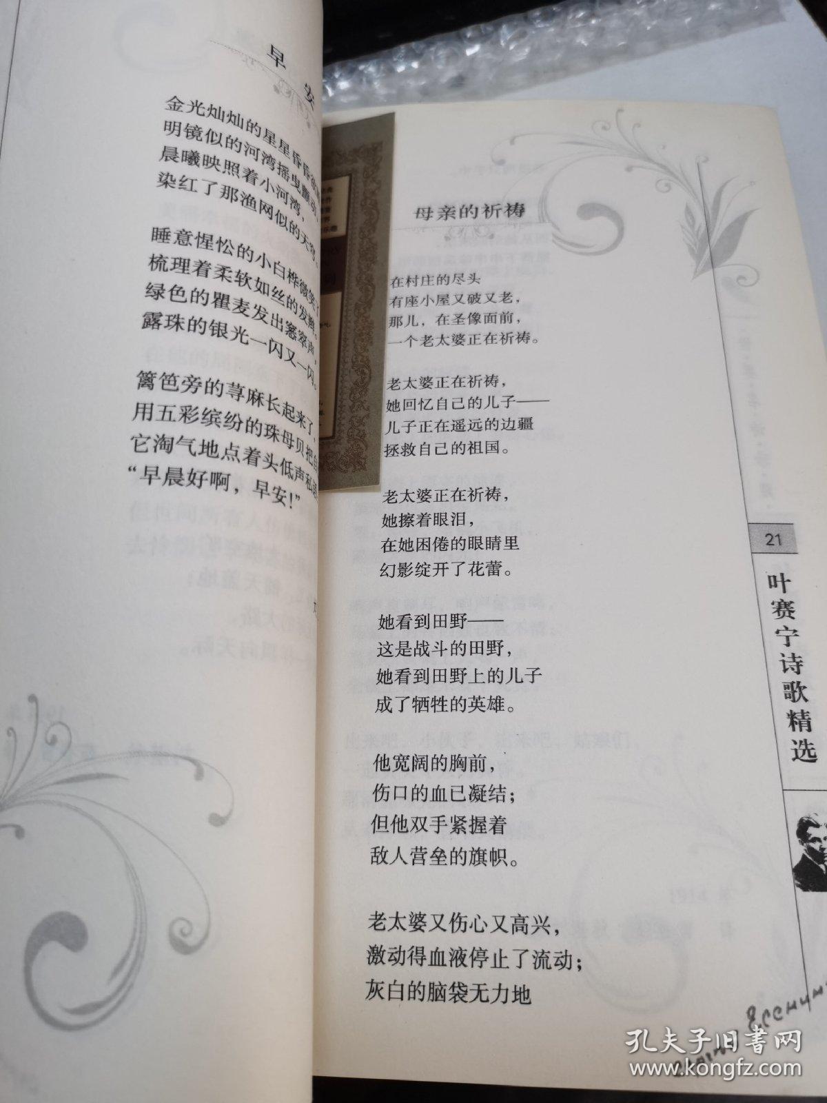 叶赛宁诗歌精选