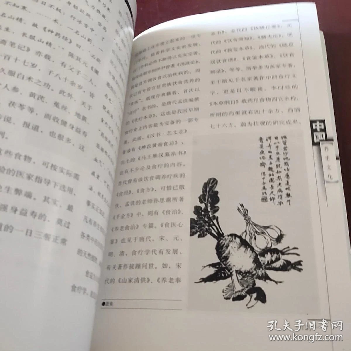 什么是养生文化的重要特征 023f17dfee58e3f12f_b.jpg