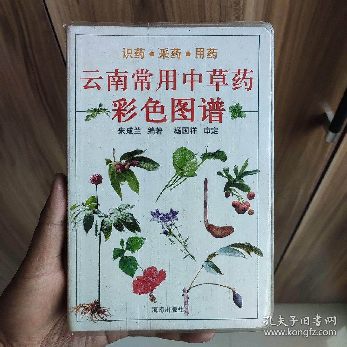 云南常用中草药彩色图谱识药采药用药含许多单方秘方