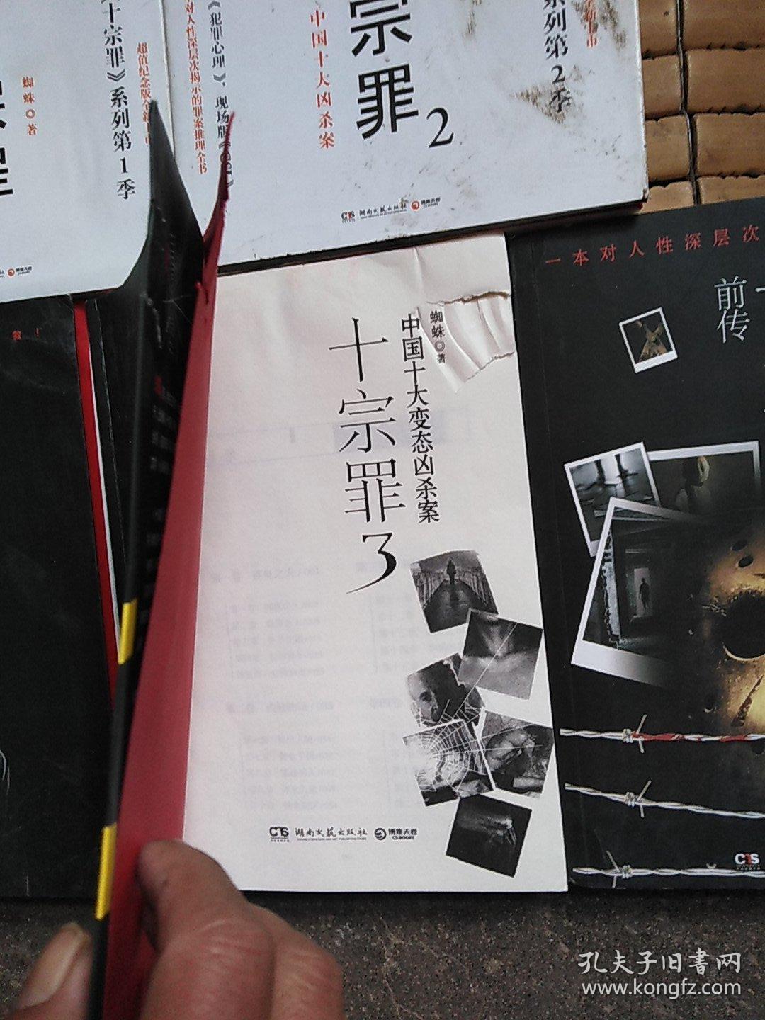 十宗罪——中国十大凶杀案.5本合售
