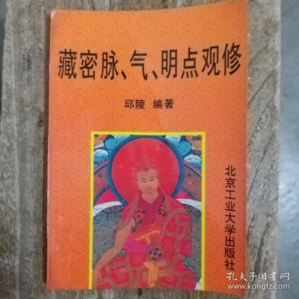 藏密 脉 气 明 点 观 修