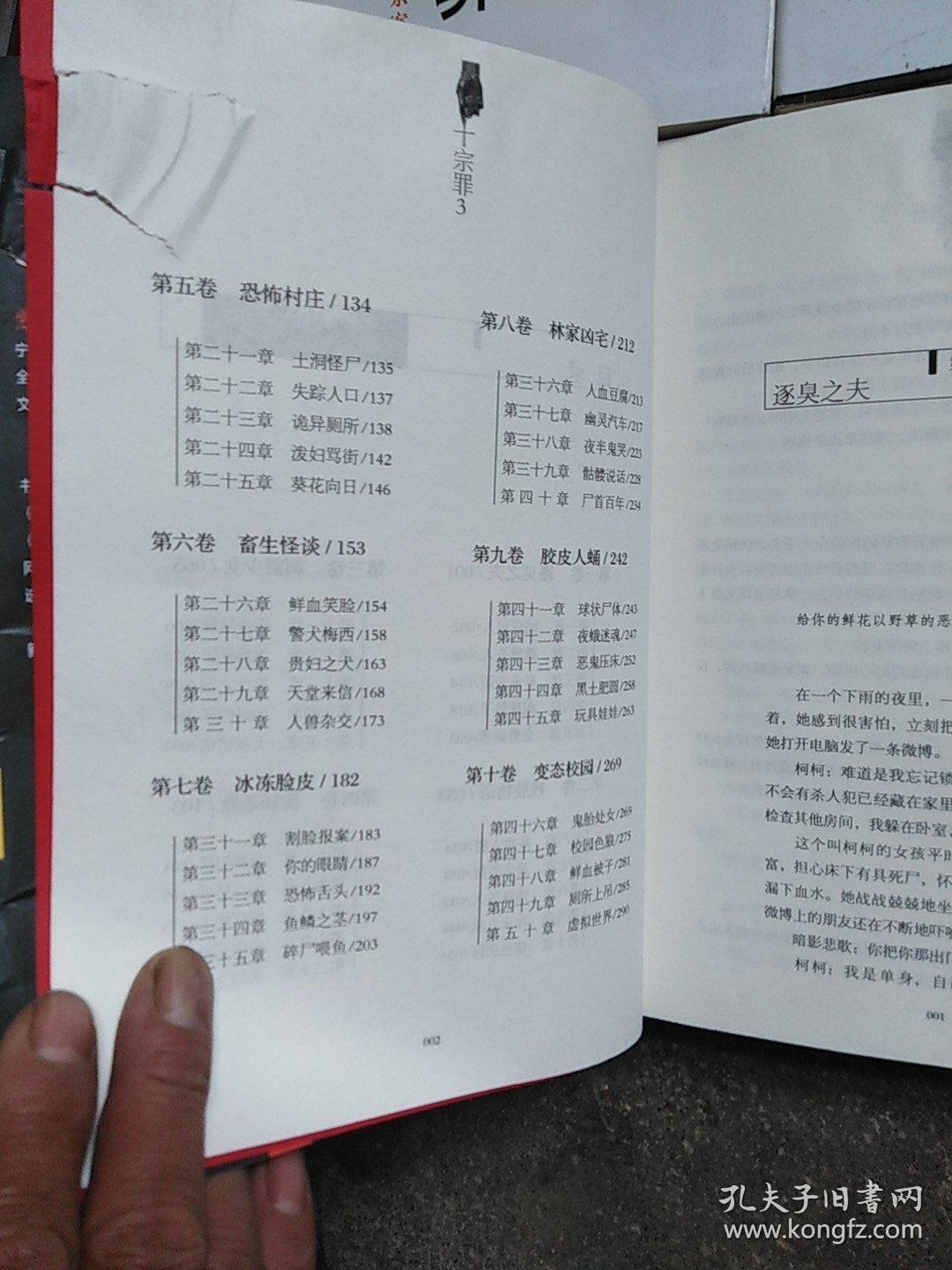 十宗罪——中国十大凶杀案.5本合售