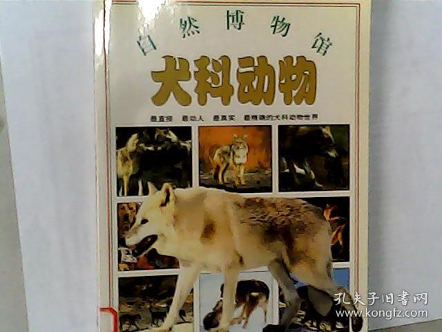 自然博物馆 犬科动物