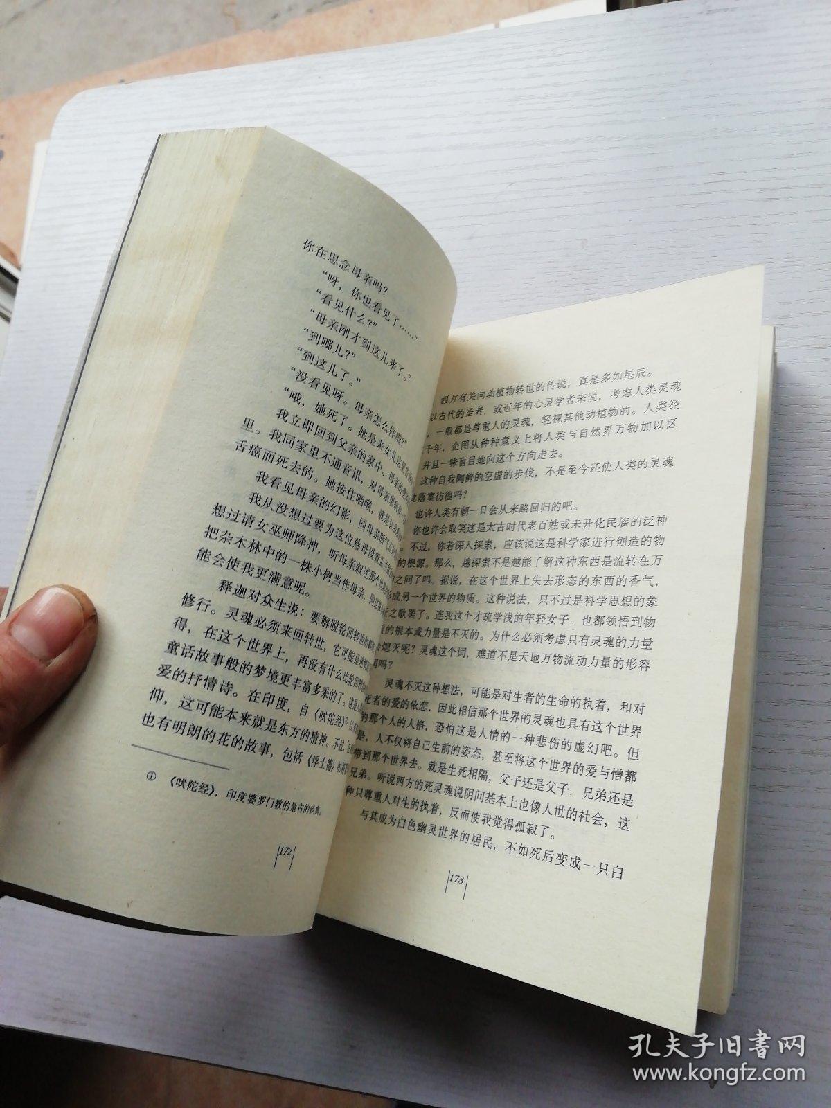 简谱舞女_舞女简谱歌谱(3)