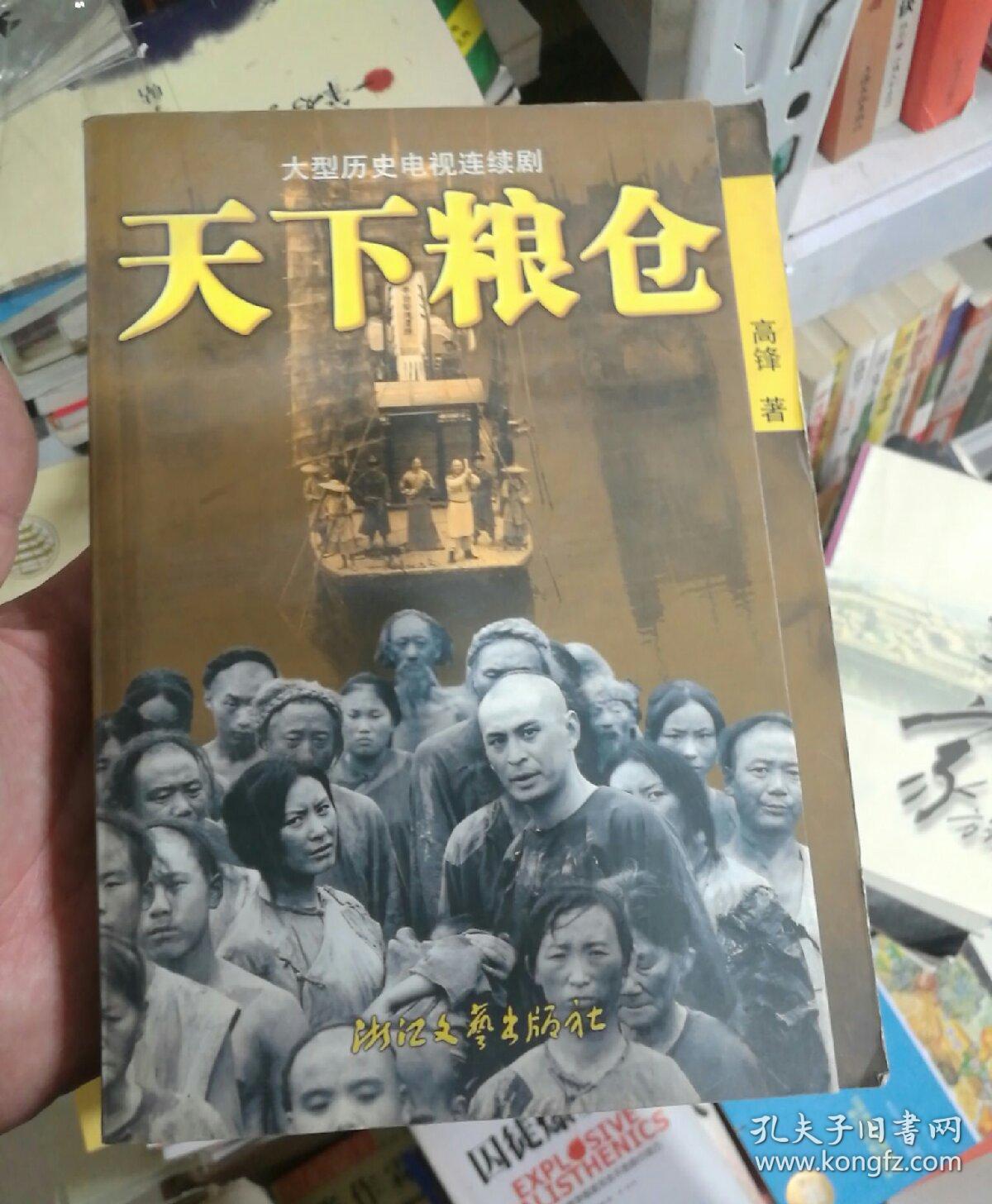 天下粮仓(:大型历史电视连续剧,有剧照) (货号:3004)