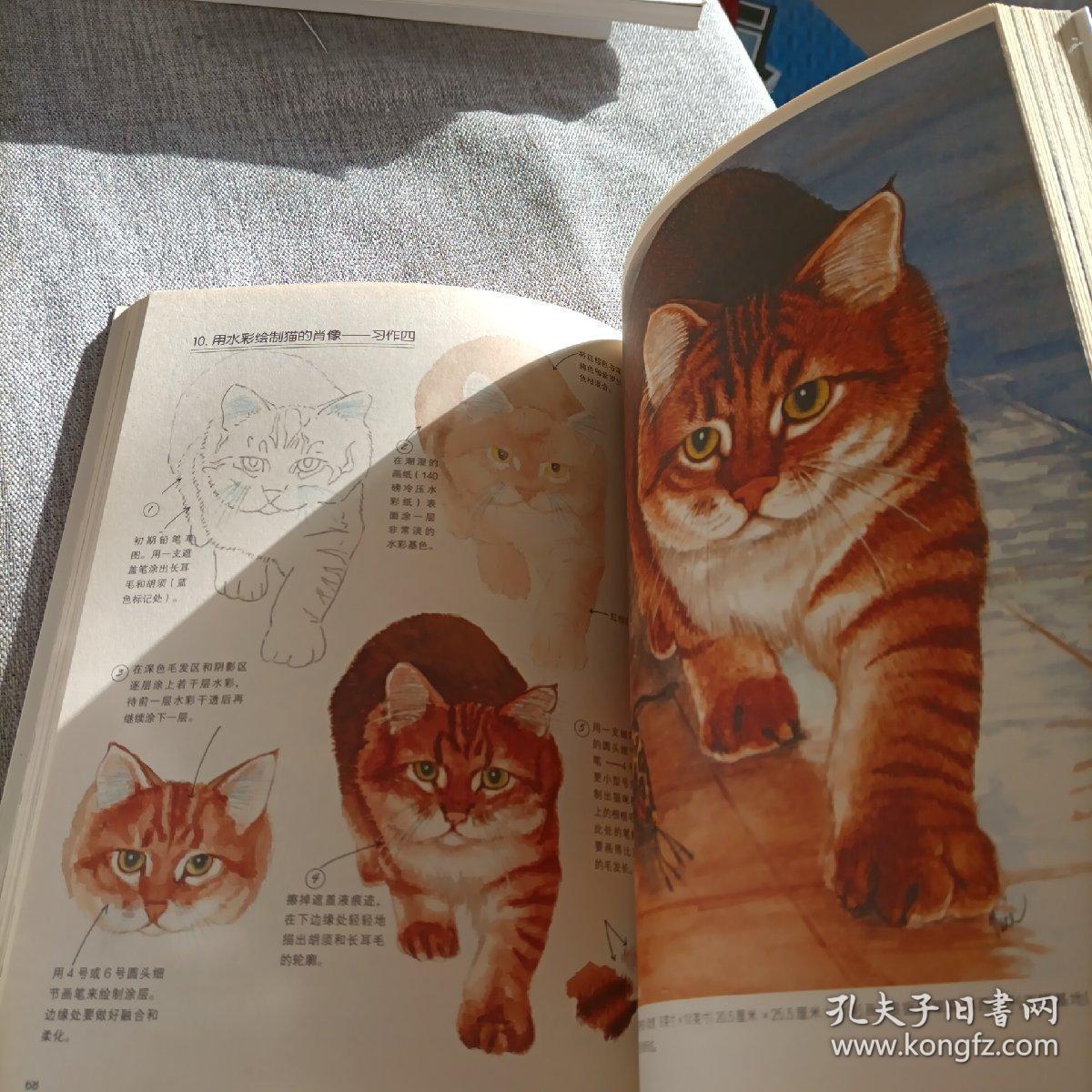 024a92ad9ac1e95c59_b.jpg