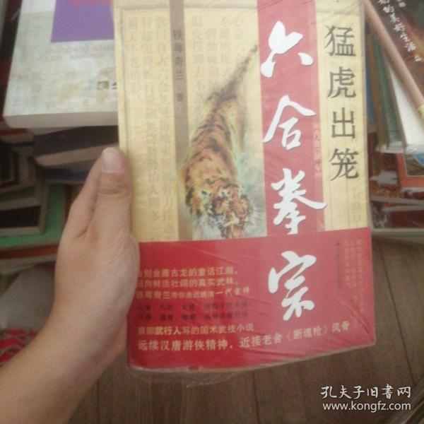 六合拳宗:猛虎出笼