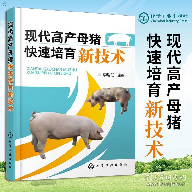 正版 现代高产母猪快速培育新技术 养猪技术书 高效养猪技术 养猪秘籍