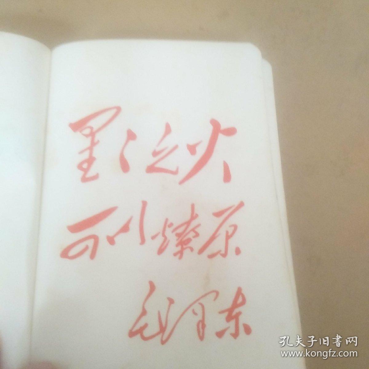 文革笔记本――星火燎原