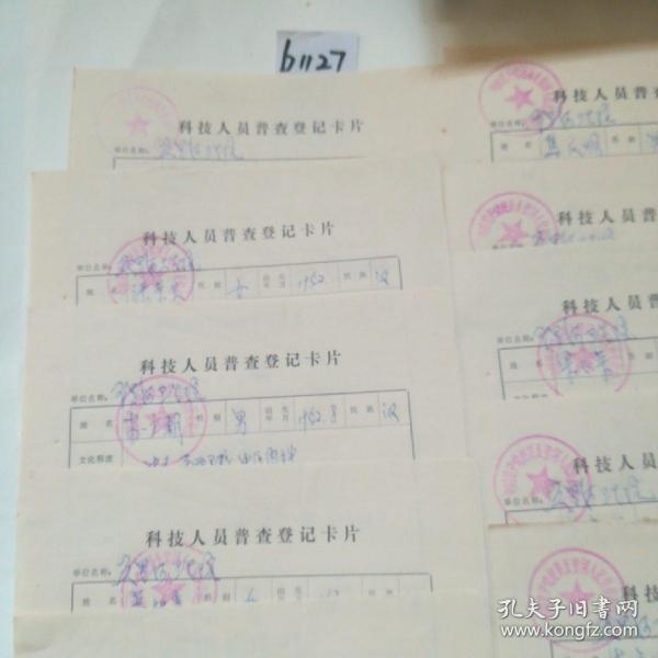 人口普查文献综述_文献综述(3)