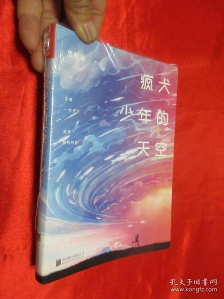 疯犬少年的天空曲谱_疯犬少年的天空刘闻钦
