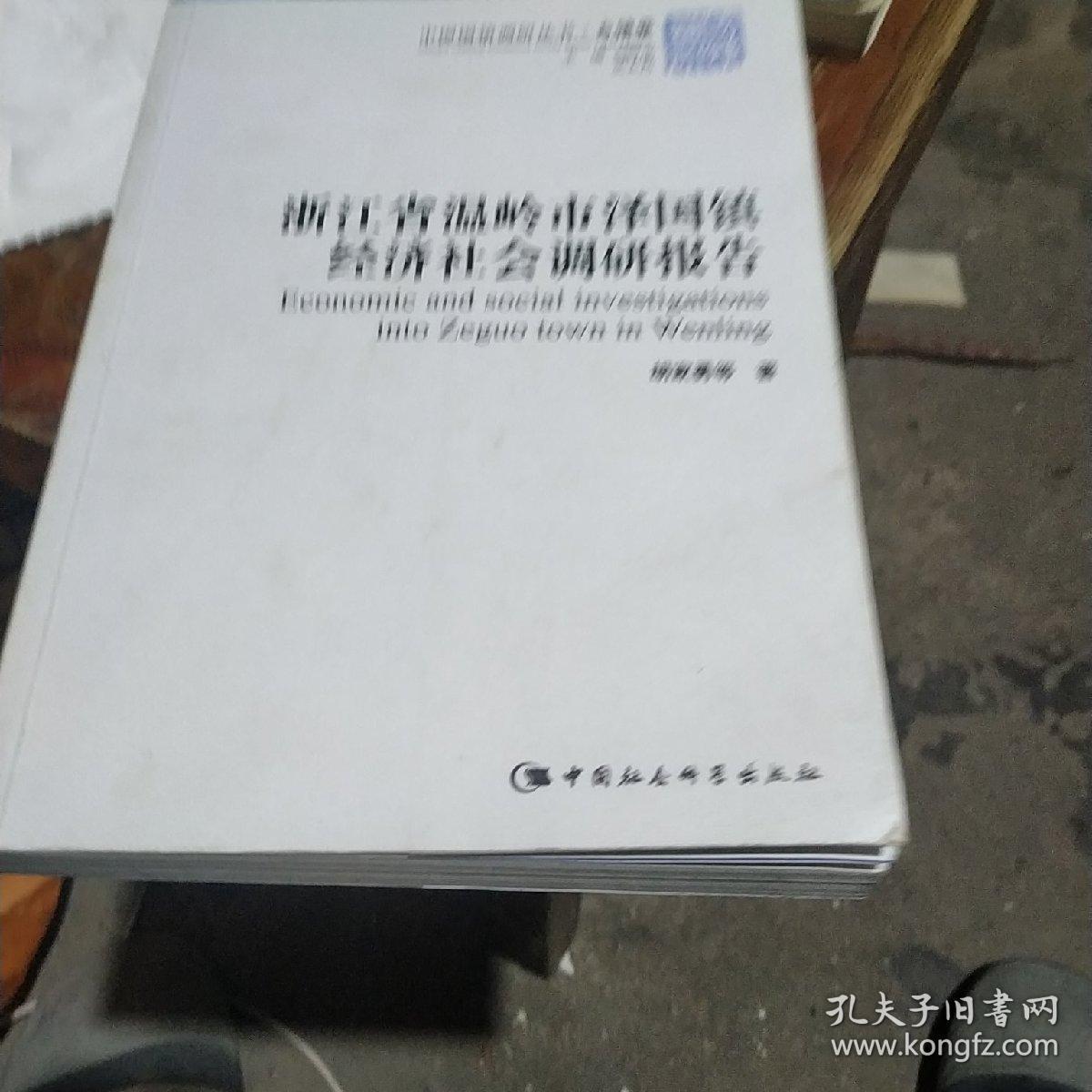 泽国镇经济总量_泽国镇应路兵