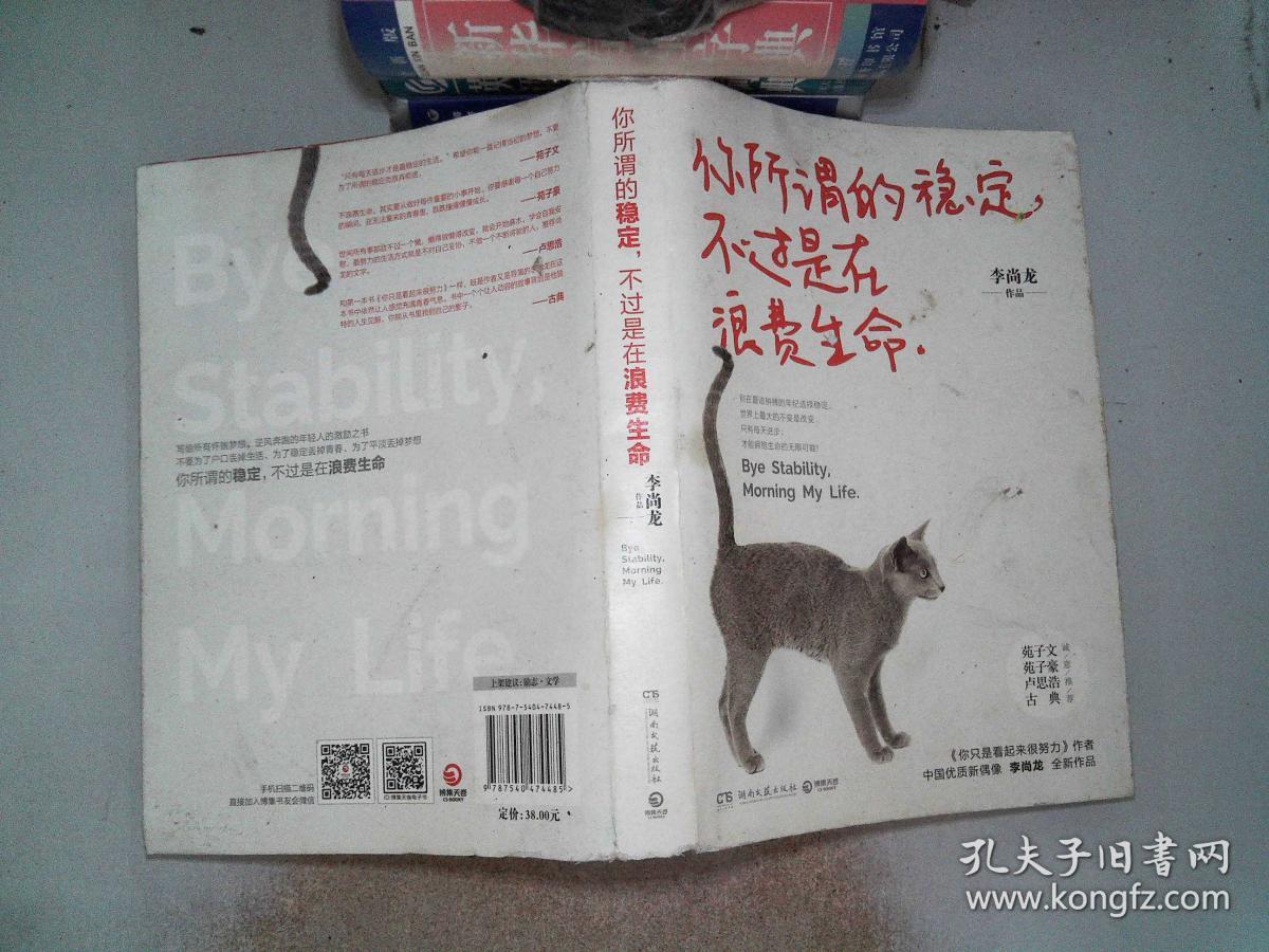 你所谓的稳定,不过是在浪费生命