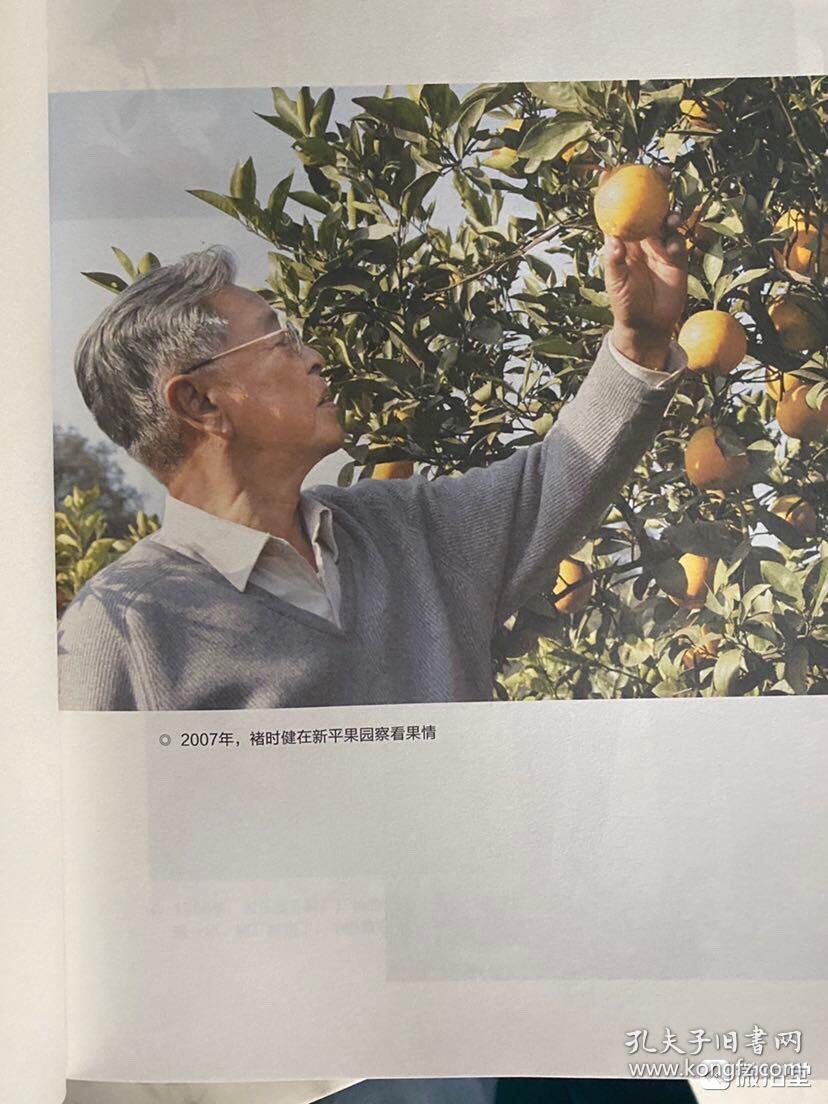 褚时健