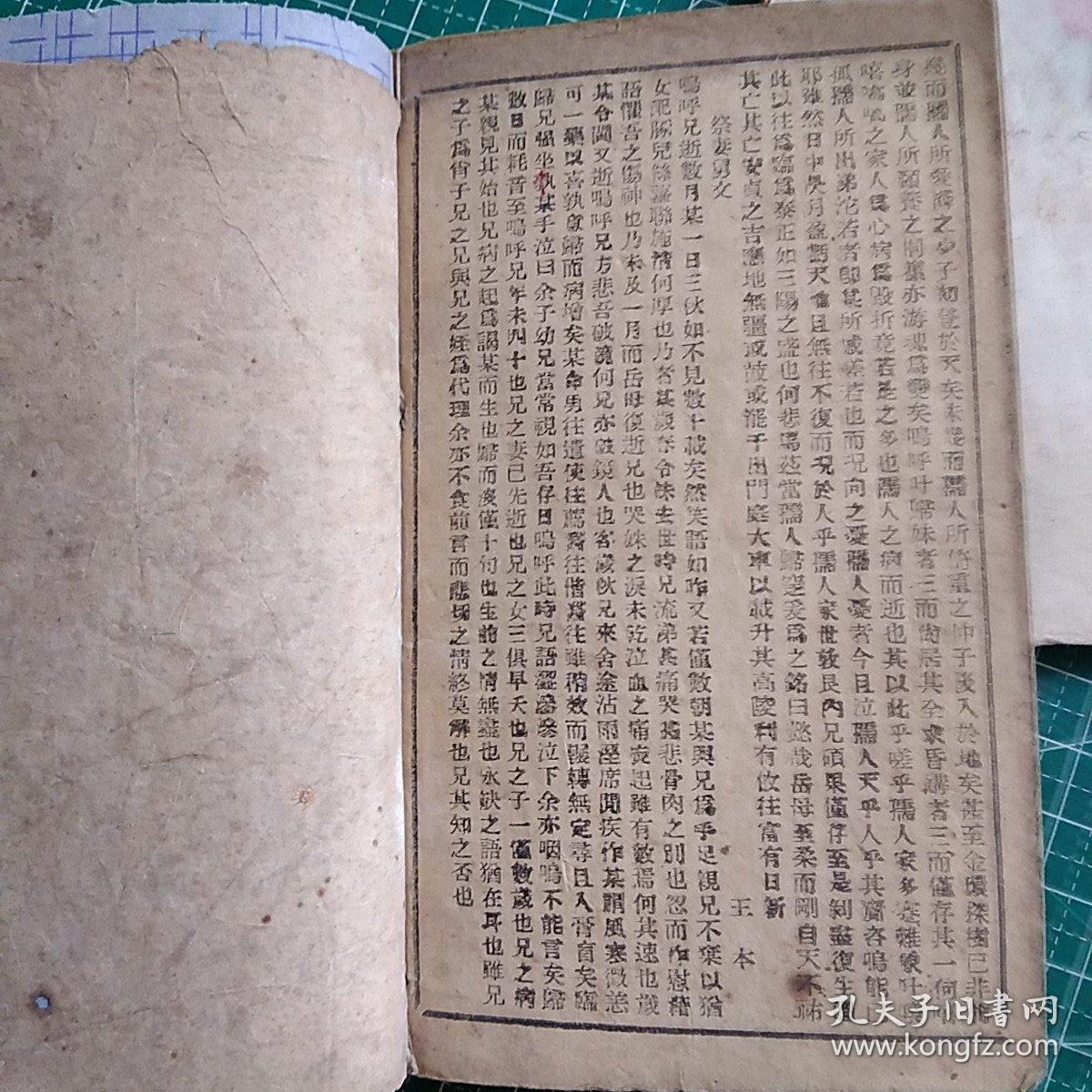 八人口九五_人口普查(2)