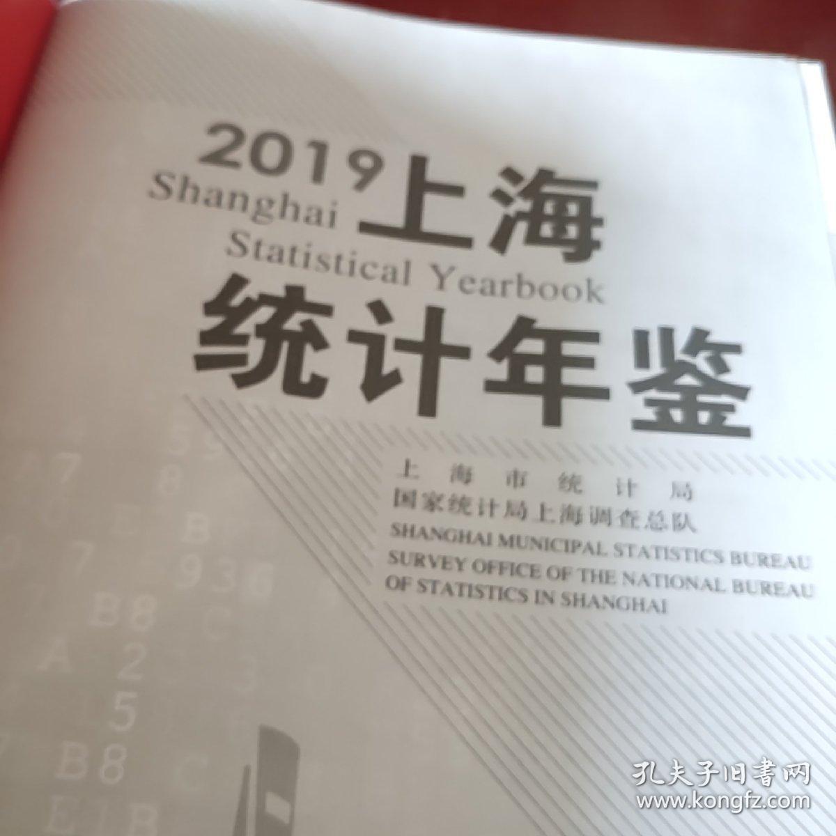 人口统计年鉴2019_统计年鉴图片