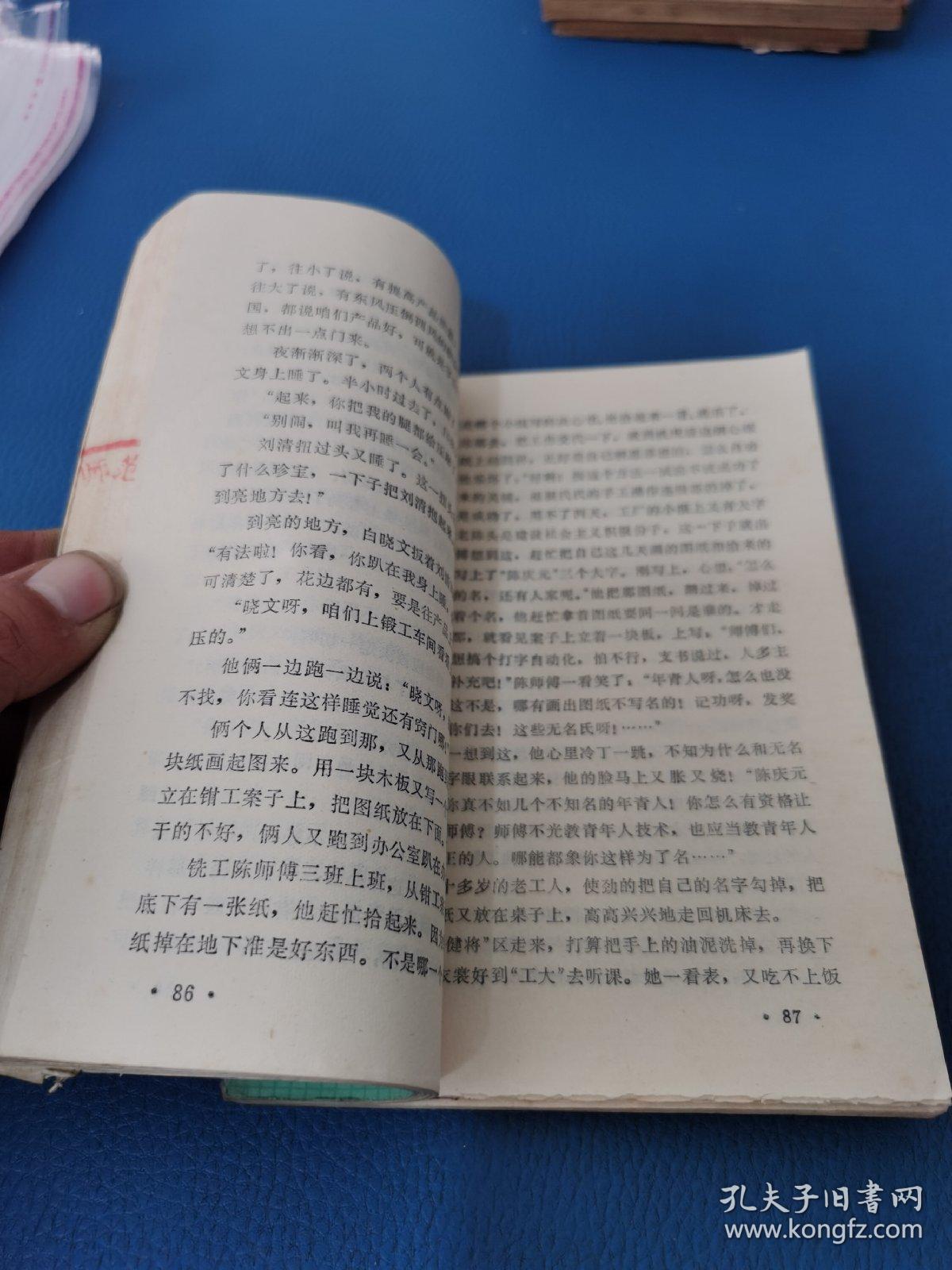 新芽简谱_薰衣草幼苗新芽图片