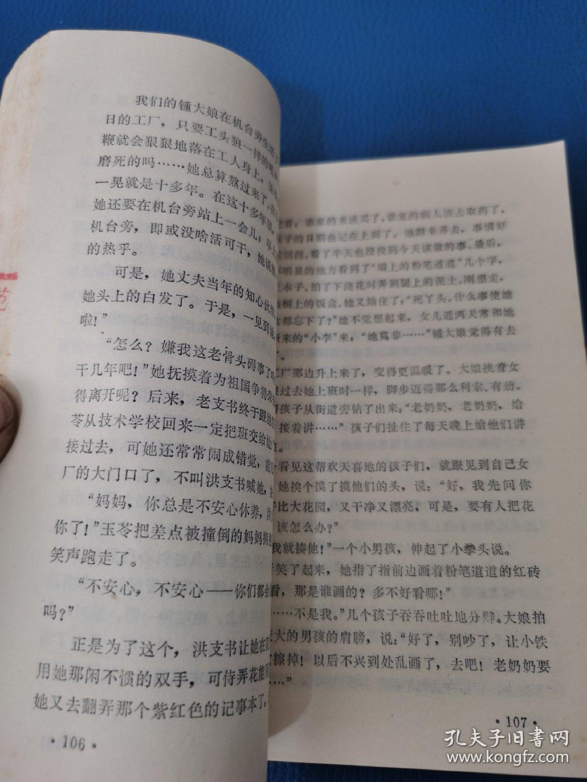 新芽简谱_薰衣草幼苗新芽图片