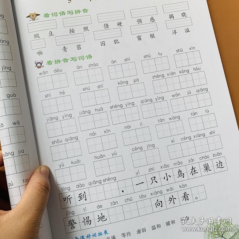 拼音人口手_人口普查