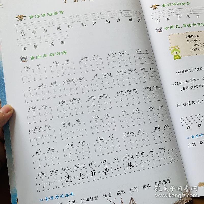 拼音人口手_人口普查