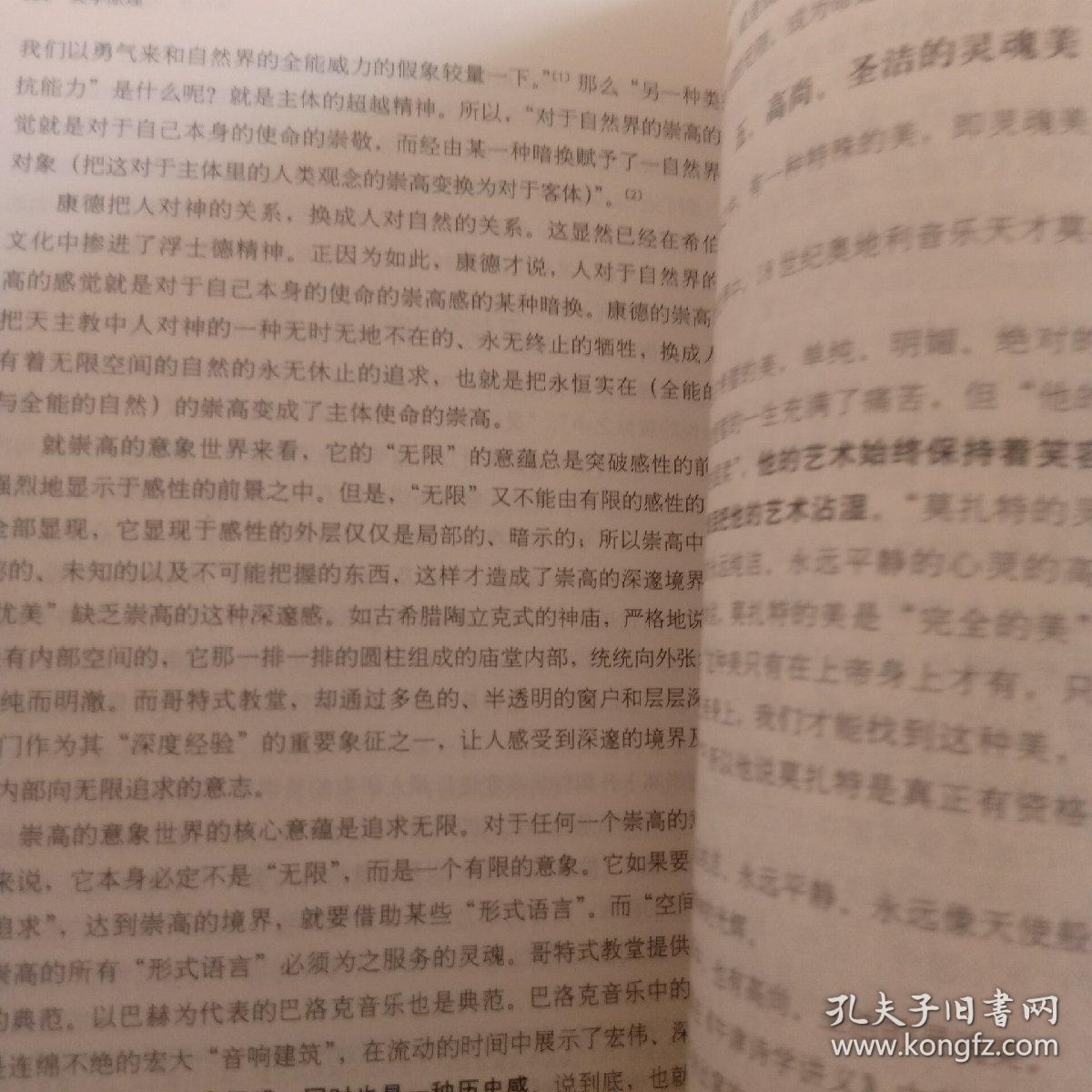 美学原理 什么是美_暴力美学是什么意思(3)