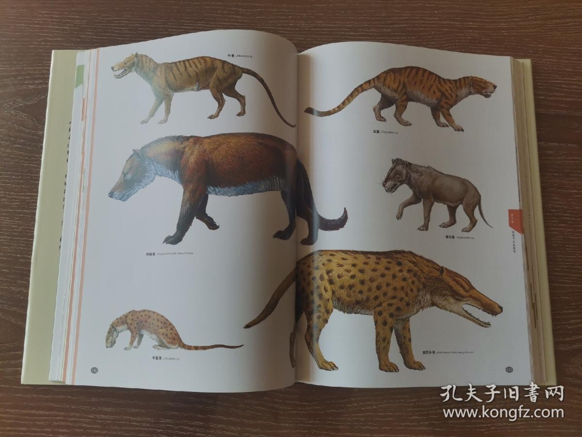 灭绝的哺乳动物图鉴