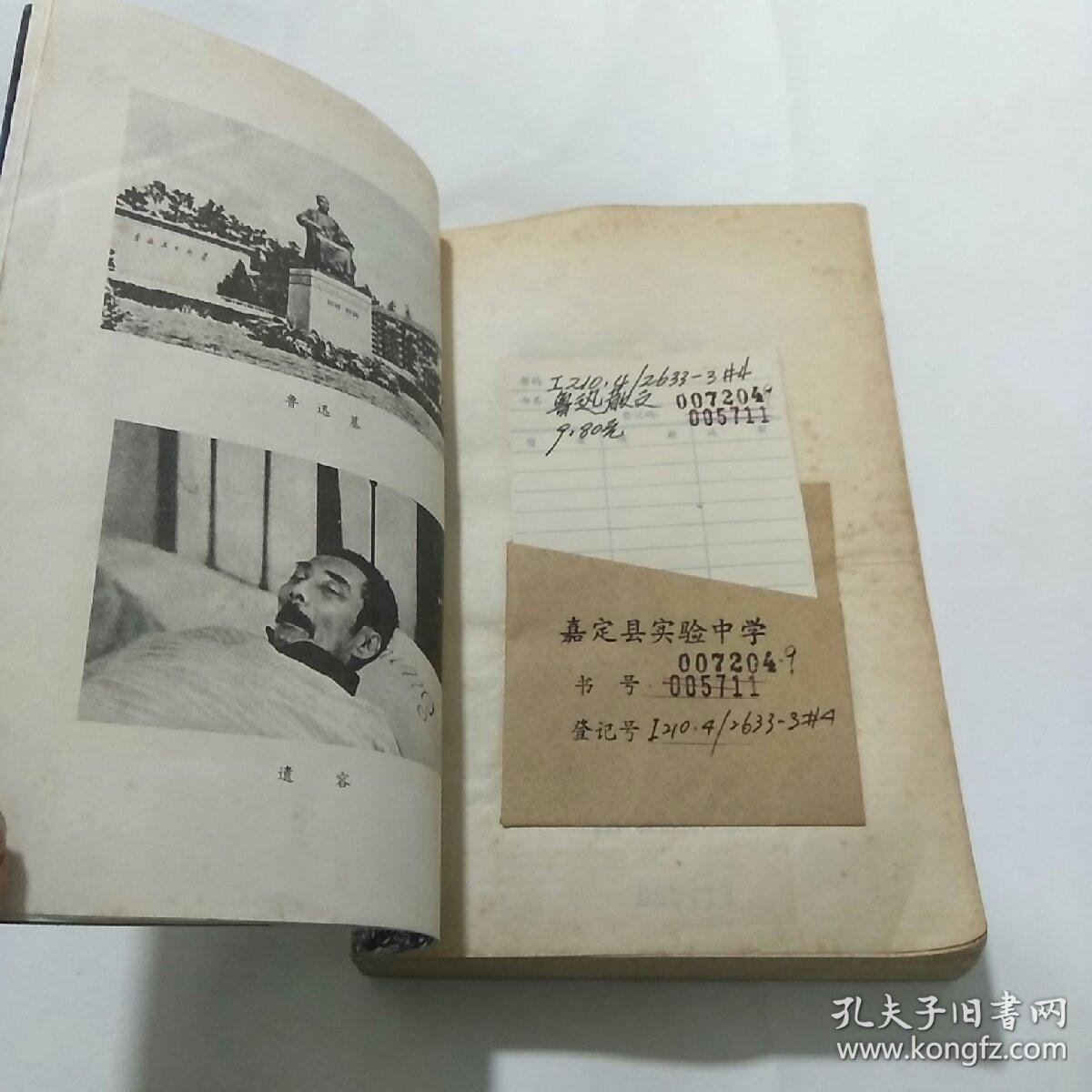 025fe7a50617eea1d4_b.jpg