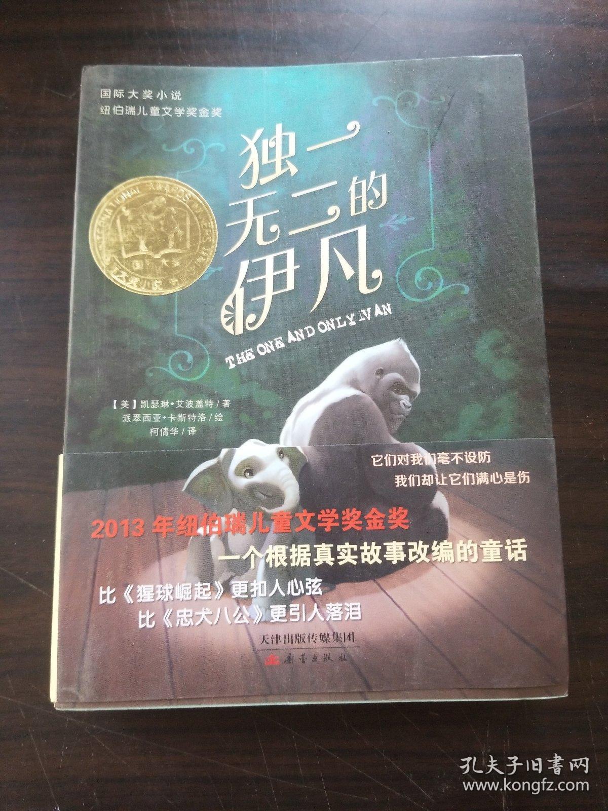 独一无二的伊凡