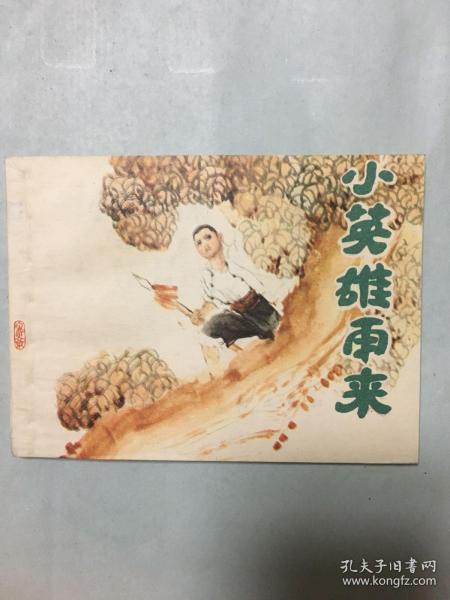 小英雄雨来(库存书)少年儿童画库