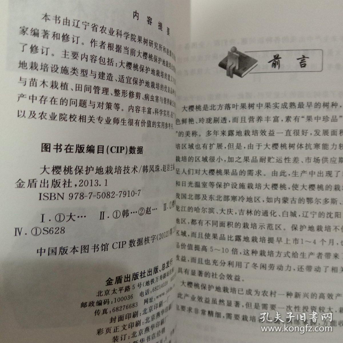 大樱桃简谱_大樱桃图片大全大图(2)