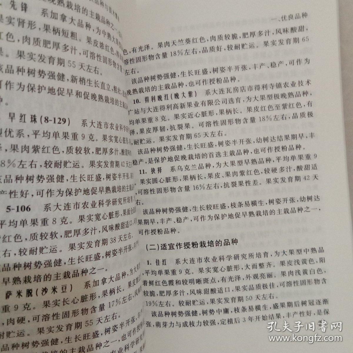大樱桃简谱_大樱桃图片大全大图(2)