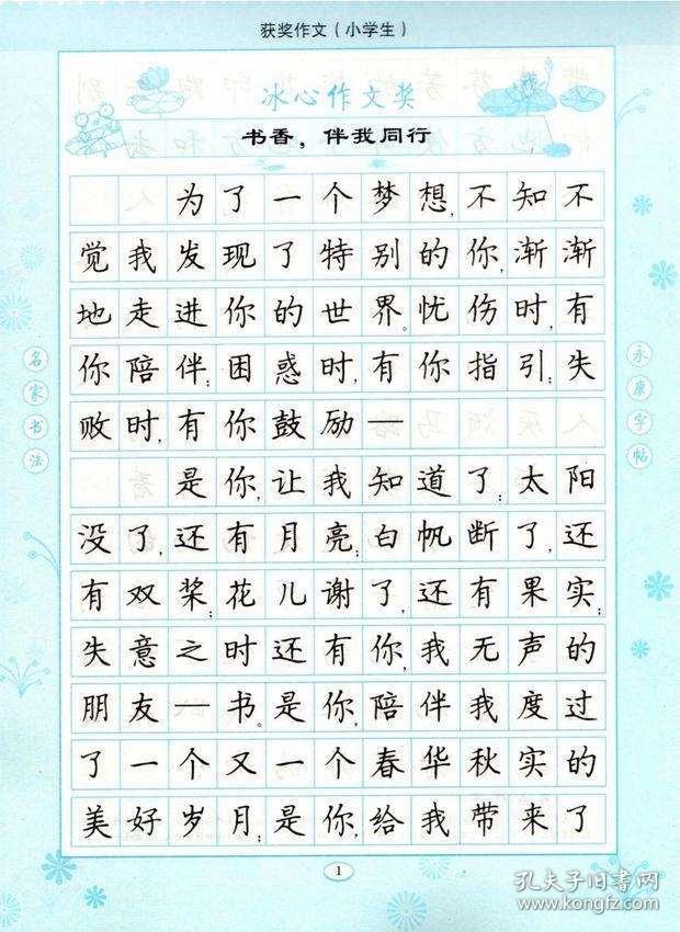 丁永康字帖小学生获奖作文楷书钢笔硬笔书法临摹描红练字写字书