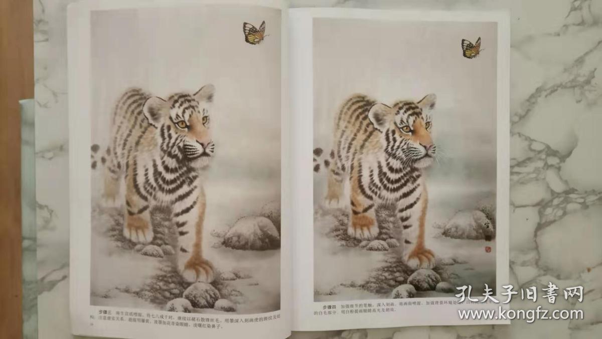 工笔动物画法——虎