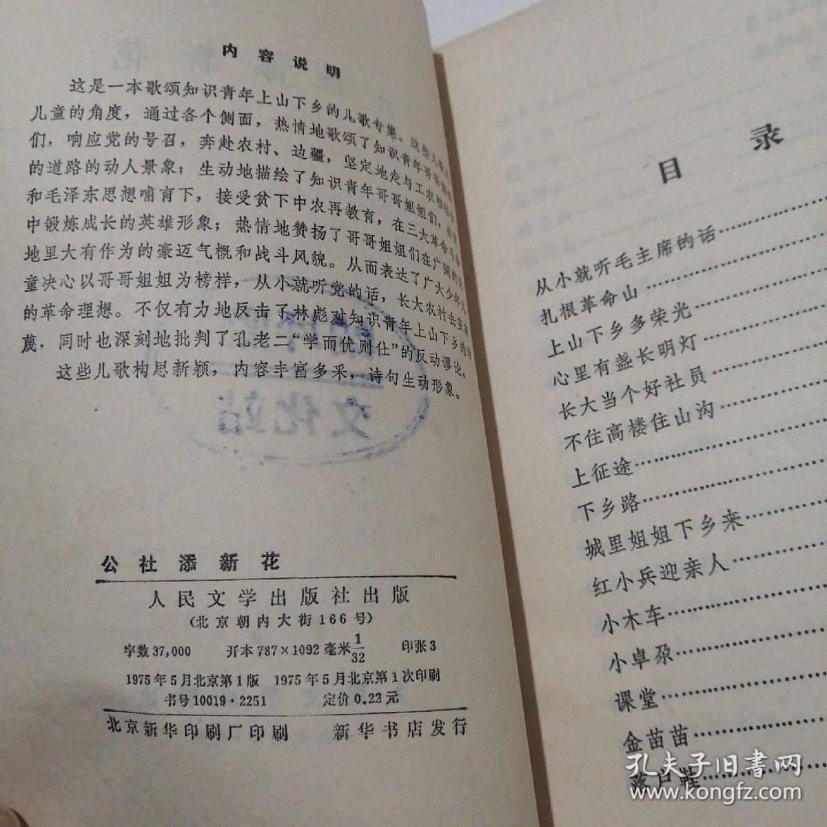 026865d946a0ceda74_b.jpg