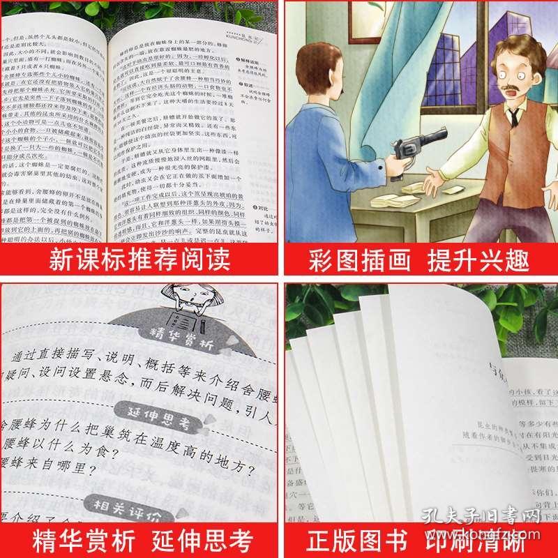 02692b74dac3ff69a1_b.jpg