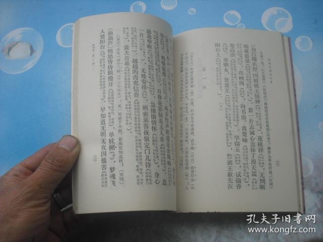 026959df6e249a99d0_b.jpg