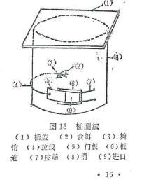怎样灭绝蟑螂(图1)