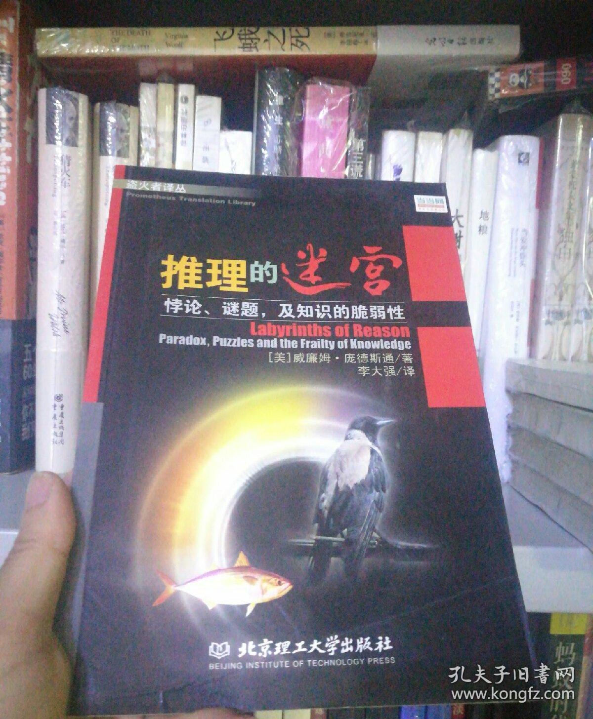 推理的迷宫——悖论,谜题及知识的脆弱性