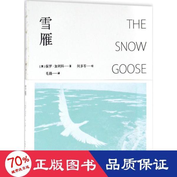 雪雁简谱_雪雁图片鸟类